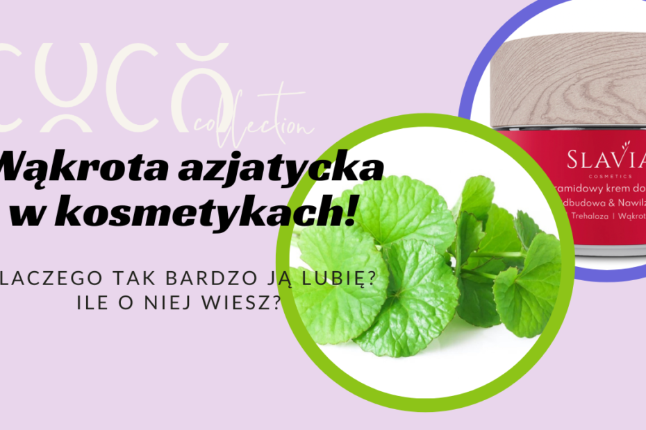 Wąkrota azjatycka - dlaczego tak ją lubię. COCO COLLECTION blog