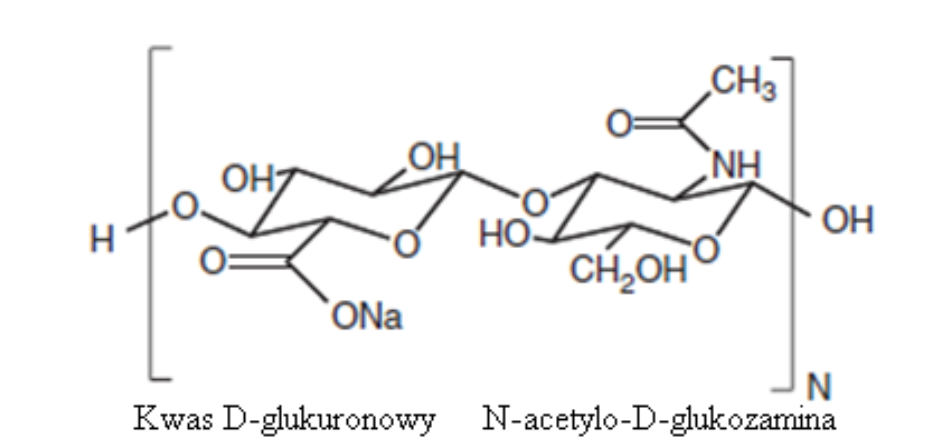 Kwas hialuronowy - budowa