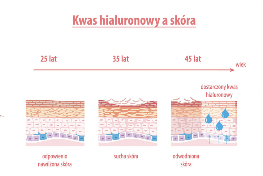 Kwas hialuronowy a skóra
COCO COLLECTION blog