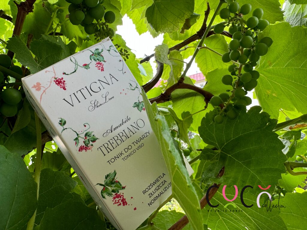 Vitigna SkinLove tonik do twarzy
COCO COLLECTION blog