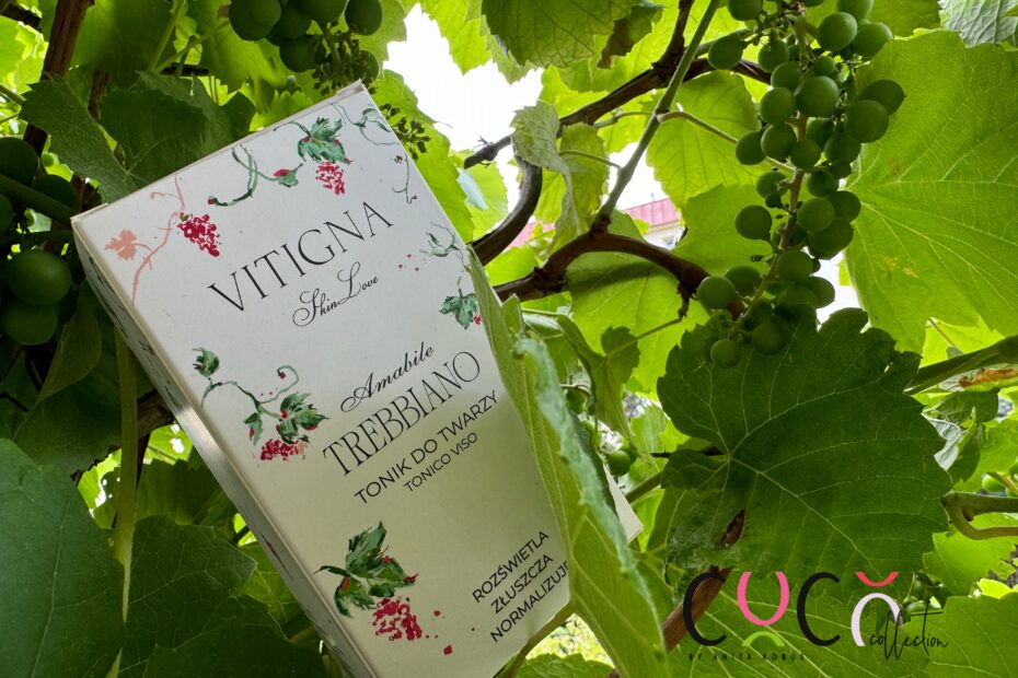 Vitigna Skin Love COCO COLLECTION blog