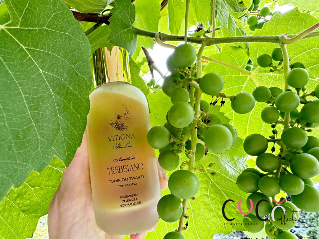 Vitigna SkinLove tonik do twarzy
COCO COLLECTION blog