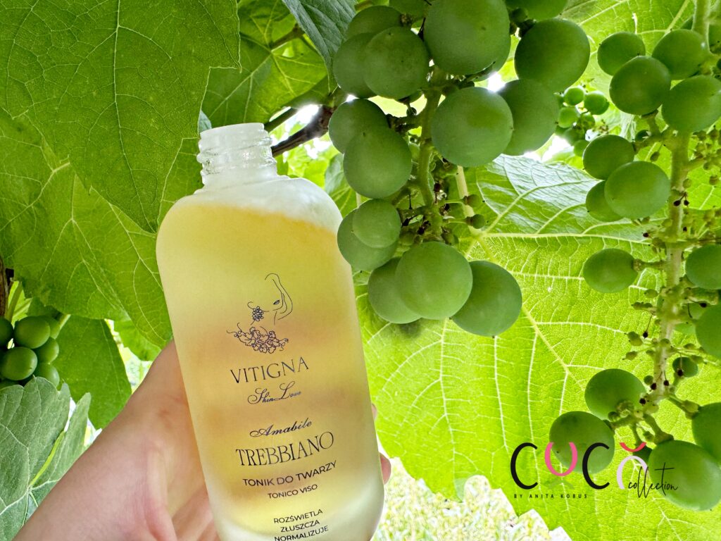 Vitigna SkinLove tonik do twarzy
COCO COLLECTION blog