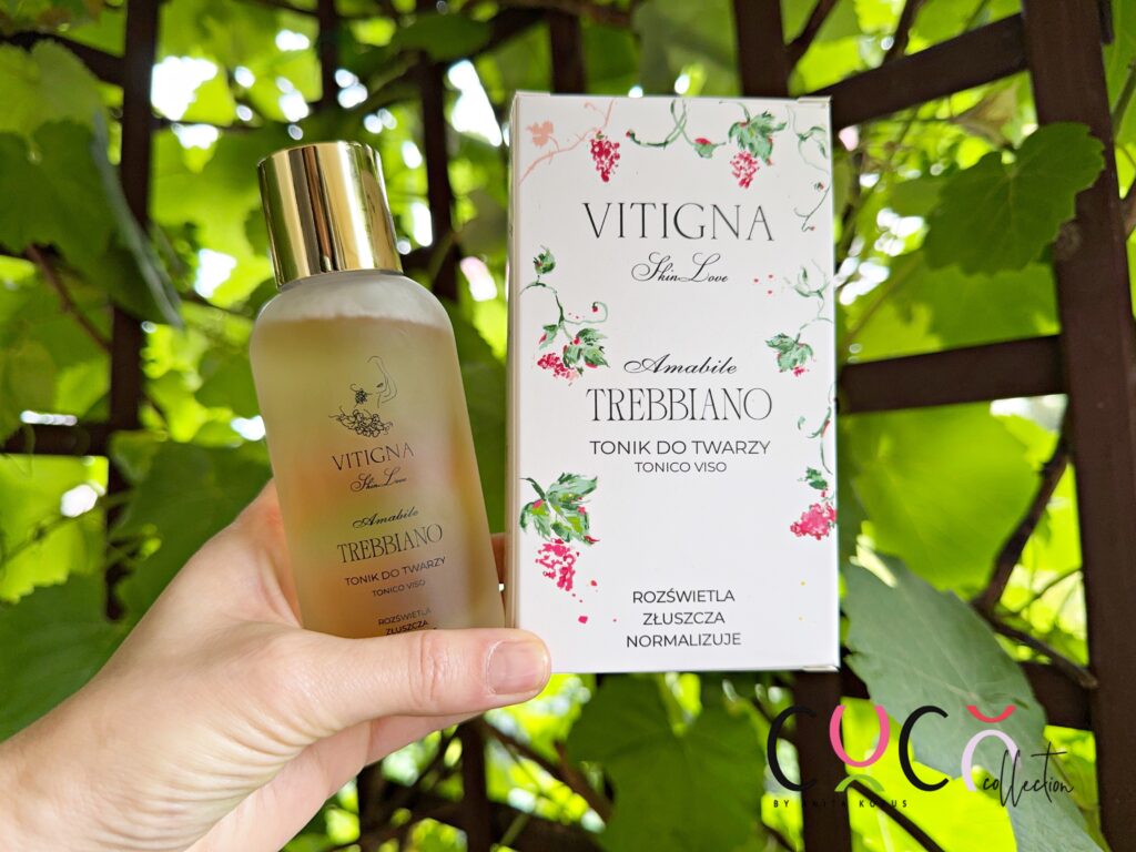 Vitigna SkinLove tonik do twarzy
COCO COLLECTION blog