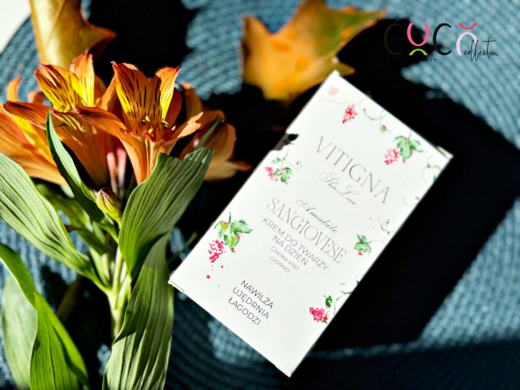 Vitigna SkinLove krem na dzień
COCO COLLECTION blog