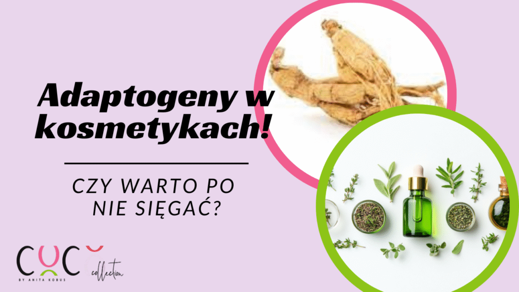 Adaptogeny w kosmetykach
COCO COLLECTION blog